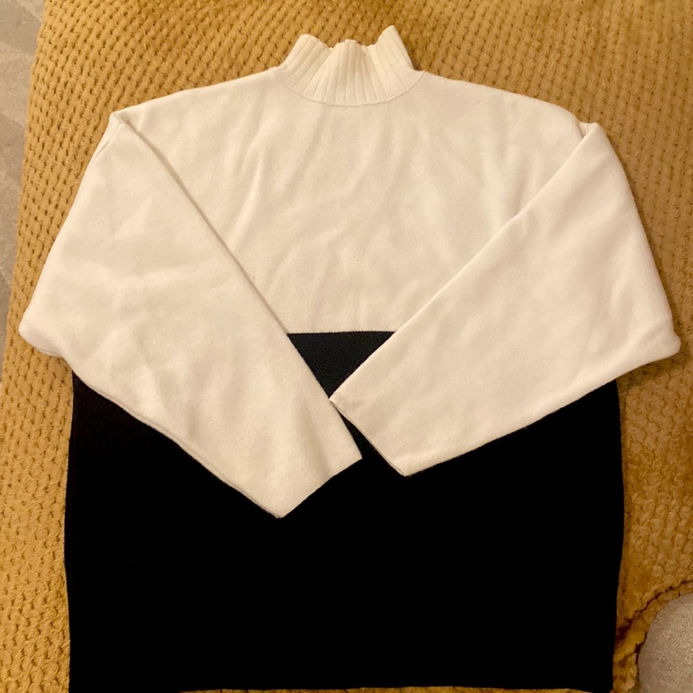 Zara turtle neck sweater, only worn a few times, great condition